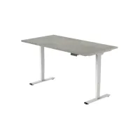 Bureau Econ elektrisch. 120X80cm. Oxyd Blad. Witte Poten
