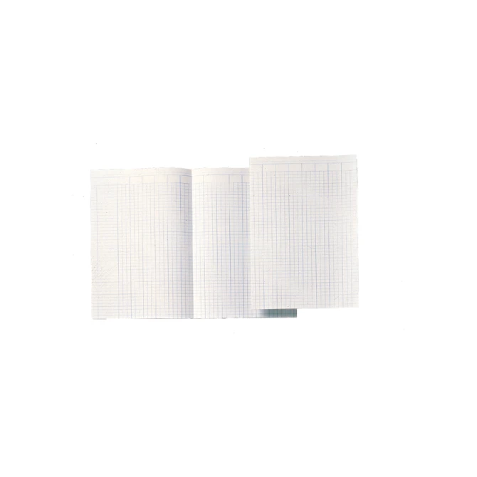 Accountantspapier Djois Atlanta folio 14 kolommen 100vel