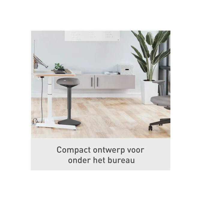 Actieve stakruk Leitz Ergo met comfortzitting