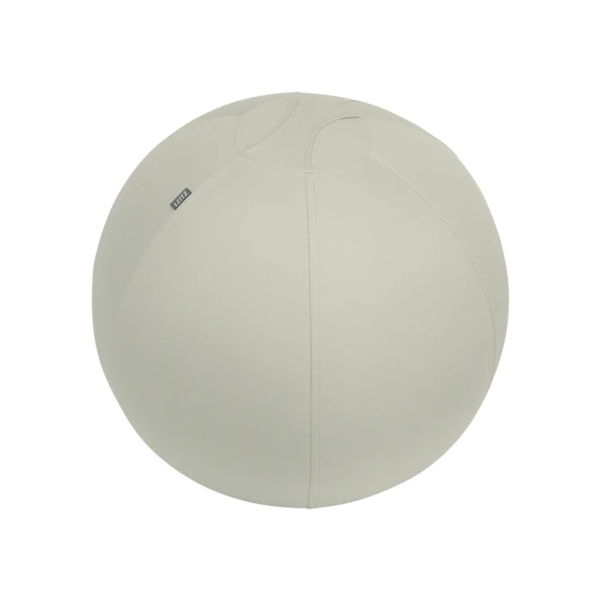 Actieve zitbal Leitz Ergo 65cm anti-rol design