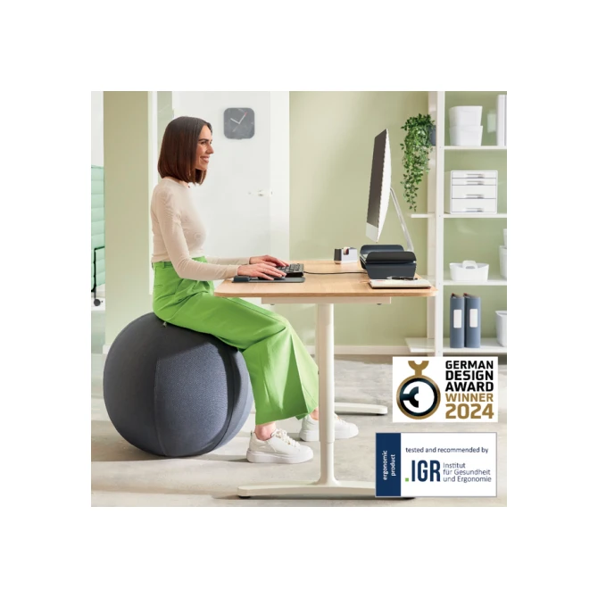 Actieve zitbal Leitz Ergo 65cm anti-rol donkergrijs