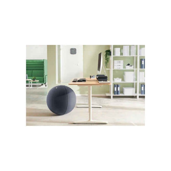 Actieve zitbal Leitz Ergo 65cm anti-rol donkergrijs