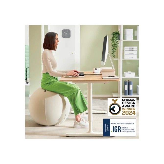 Actieve zitbal Leitz Ergo 75cm anti-rol design