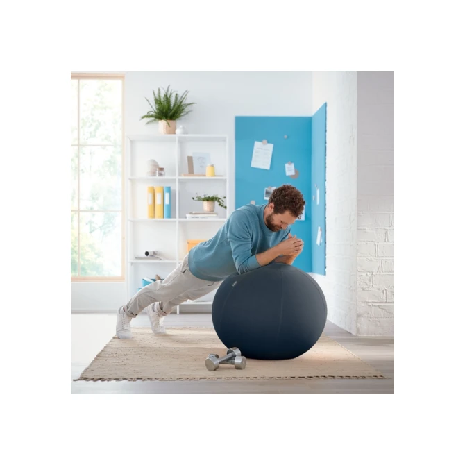 Actieve zitbal Leitz Ergo Cosy grijs