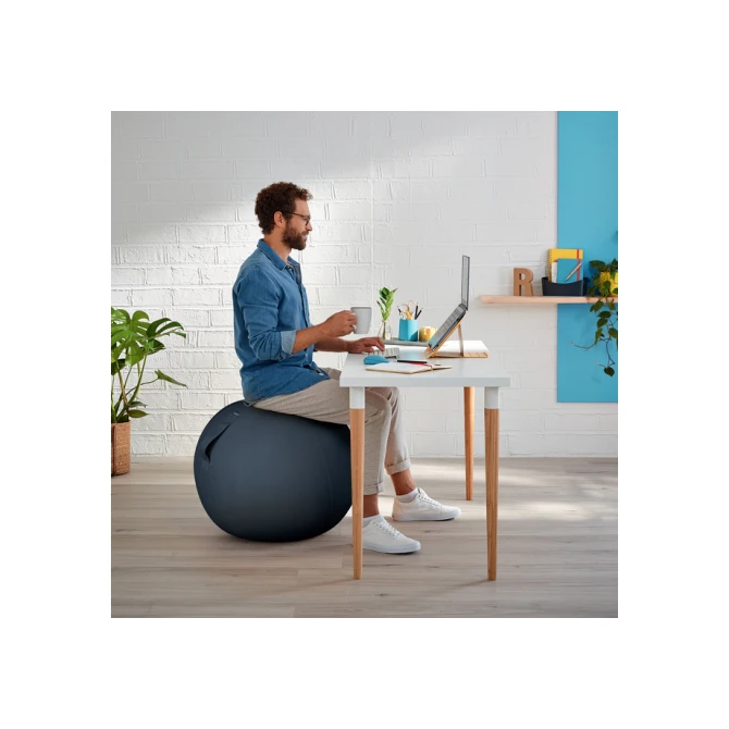 Actieve zitbal Leitz Ergo Cosy grijs