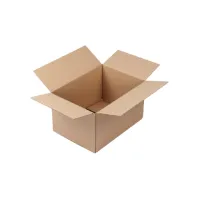 Amerikaanse vouwdoos CleverPack 305x220x250mm B-golf bruin 10 stuks