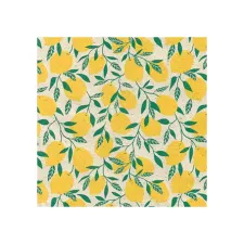 Apparaatrol Little Lemon 50cmx200m