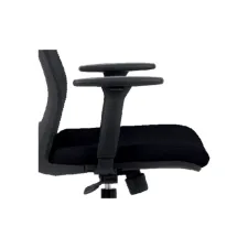 Armlegger Euroseats Evora verstelbaar zwart set van 2 stuks Armlegger Euroseats Evora verstelbaar zwart set van 2 stuks