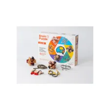 Brain Puzzles - set of 6