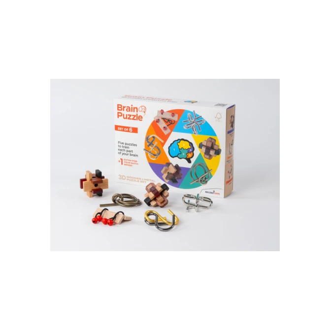 Brain Puzzles - set of 6