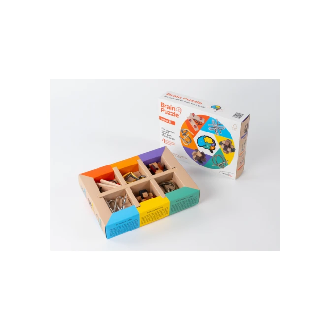Brain Puzzles - set of 6