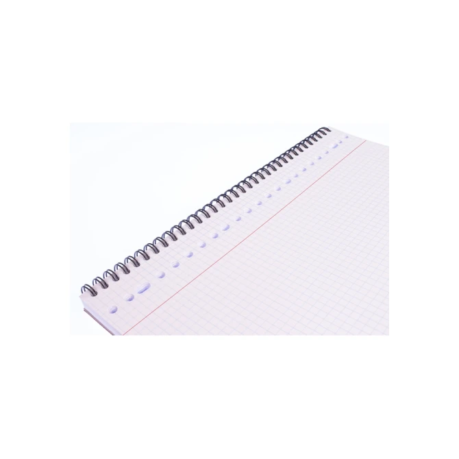 Collegeblok Multo A4 ruit  5mm 23 gaats 160 pagina's 90 gram