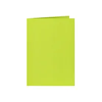 Correspondentiekaart Papicolor dubbel 105x148mm appelgroen pak à 6 stuks