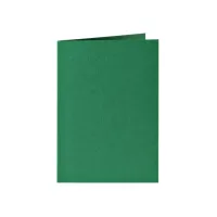 Correspondentiekaart Papicolor dubbel 105x148mm dennengroen pak à 6 stuks