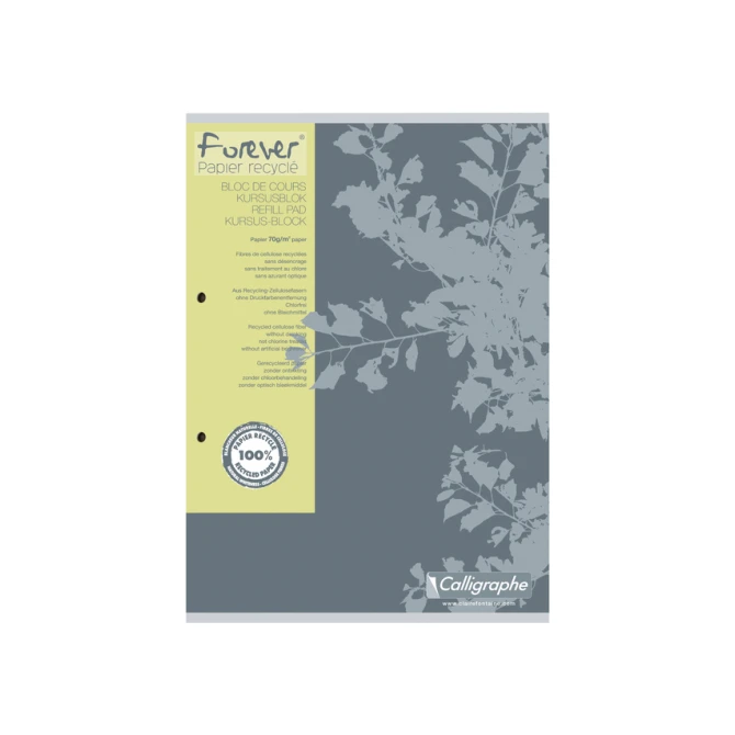 Cursusblok Clairefontaine Forever Calligraphe A4 ruit 5x5mm 2-gaats 200 pagina's 70gr grijs