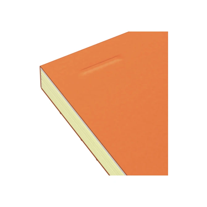 Cursusblok Oxford Orange Notepad A4+ lijn 4-gaats 160 pagina's 80gr oranje