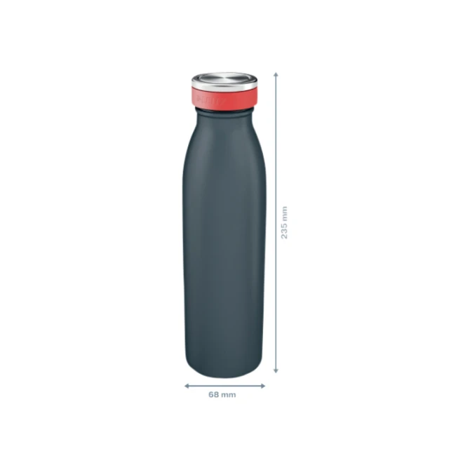 Drinkfles Leitz Cosy geïsoleerd fluweel grijs 500ml