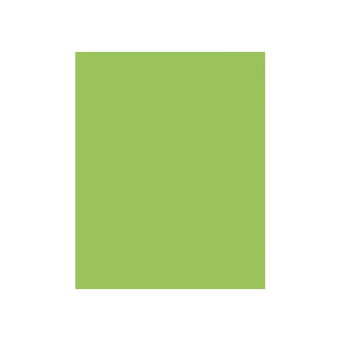 Etalagekarton Folia 1-zijdig 48x68cm 380gr nr941 fluor groen