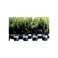 Etiket Avery L4774-20 99.1x139mm polyester wit 80 etiketten Etiket Avery L4774-20 99.1x139mm polyester wit 80 etiketten