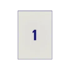 Etiket Avery L6013-20 210x297mm zilver 20 etiketten Etiket Avery L6013-20 210x297mm zilver 20 etiketten