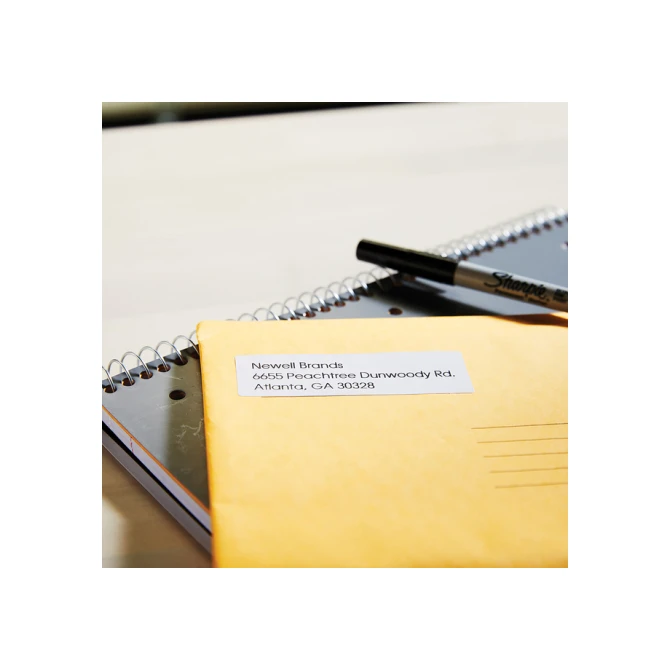 Etiket Dymo LabelWriter multifunctioneel 19x51mm 1 rol á 500 stuks wit