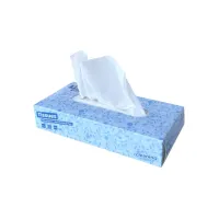 Facial tissues Cleaninq 2-laags 100 vel wit