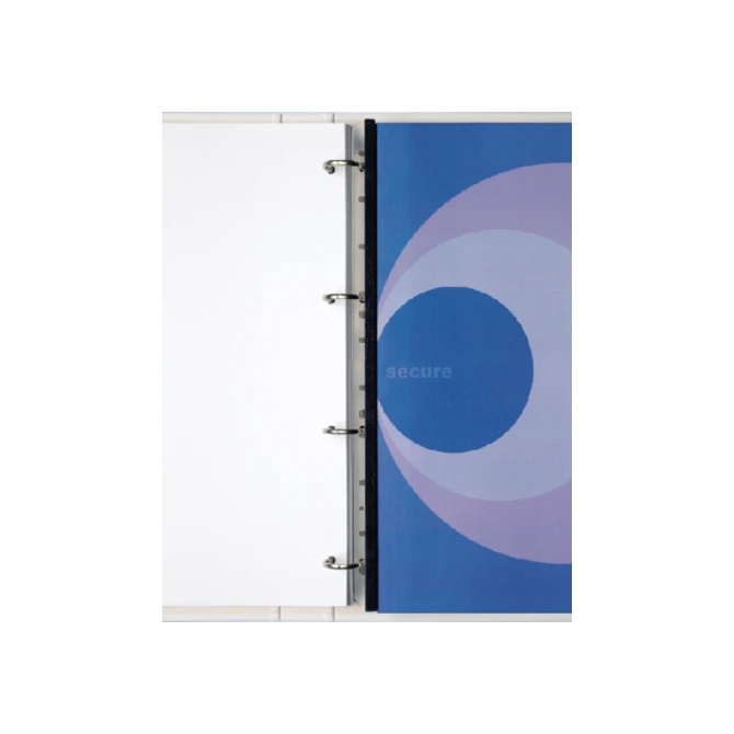 Filestrip GBC A4 10-pins 100 stuks