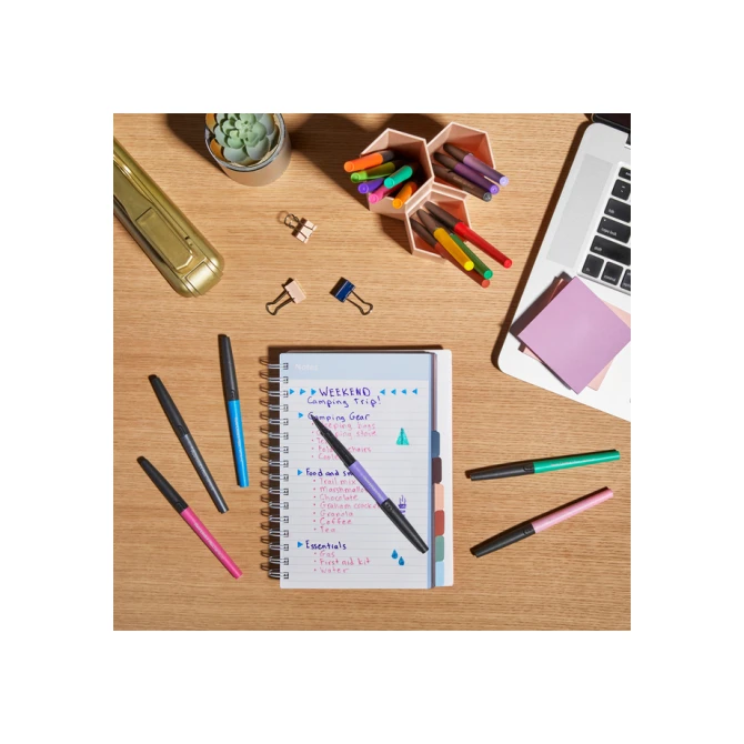 Fineliner Paper Mate Flair Metallic medium blister à 6 stuks