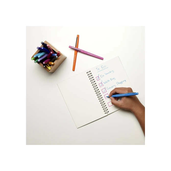 Fineliner Paper Mate Flair Original medium zwart valuepack à 36 stuks