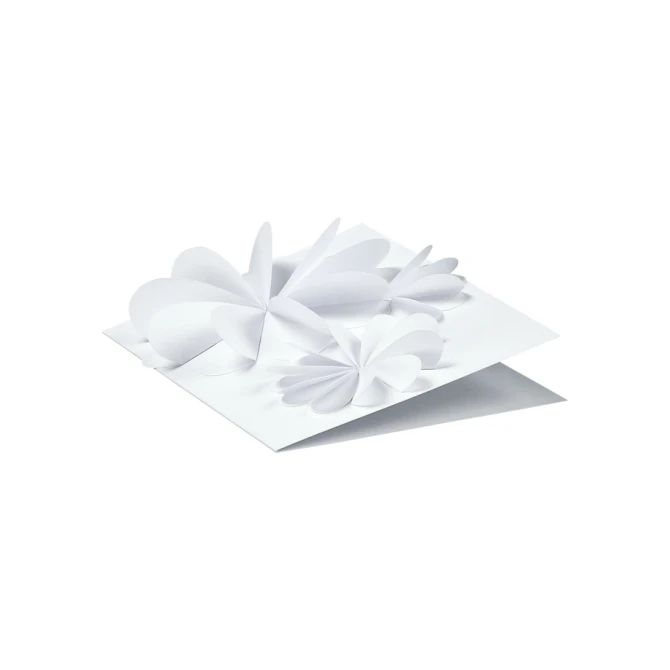 Fotokarton Folia 300gr 50x70cm 00 wit