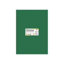 Fotokarton Folia 300gr 50x70cm 58 dennengroen
