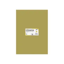 Fotokarton Folia 300gr 50x70cm 65 goud