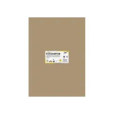 Fotokarton Folia 300gr 50x70cm 75 reebruin