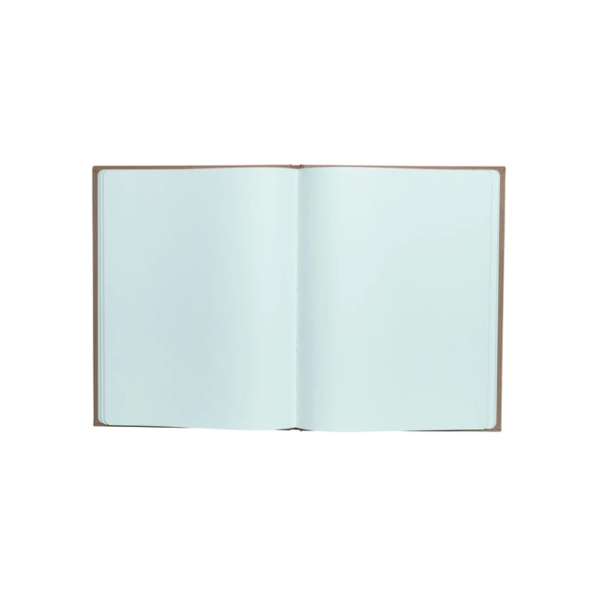Gastenboek Exacompta Graphik 270x220mm blanco kraft