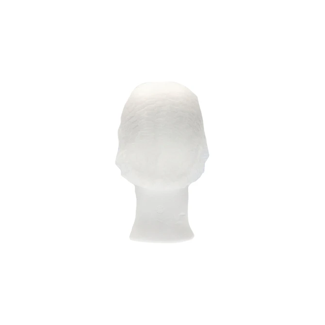 Haarnet CMT clip non-woven L 53cm PP wit 100 stuks