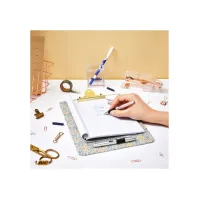Inktwisser Bic