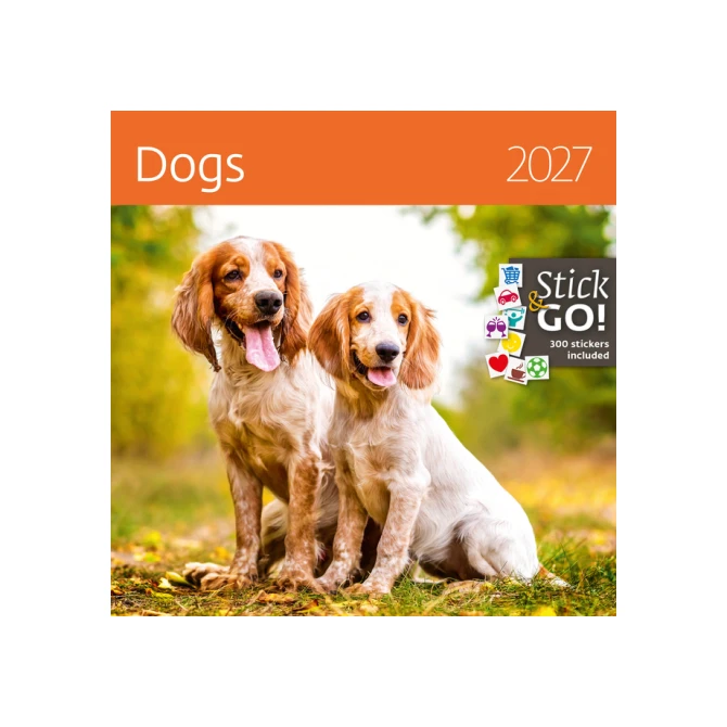 Kalender 2027 Helma 365 30x30cm honden
