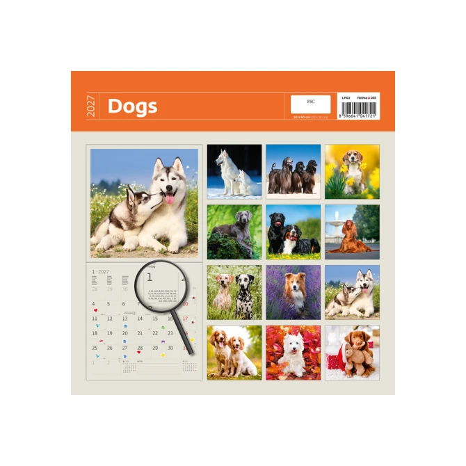 Kalender 2027 Helma 365 30x30cm honden