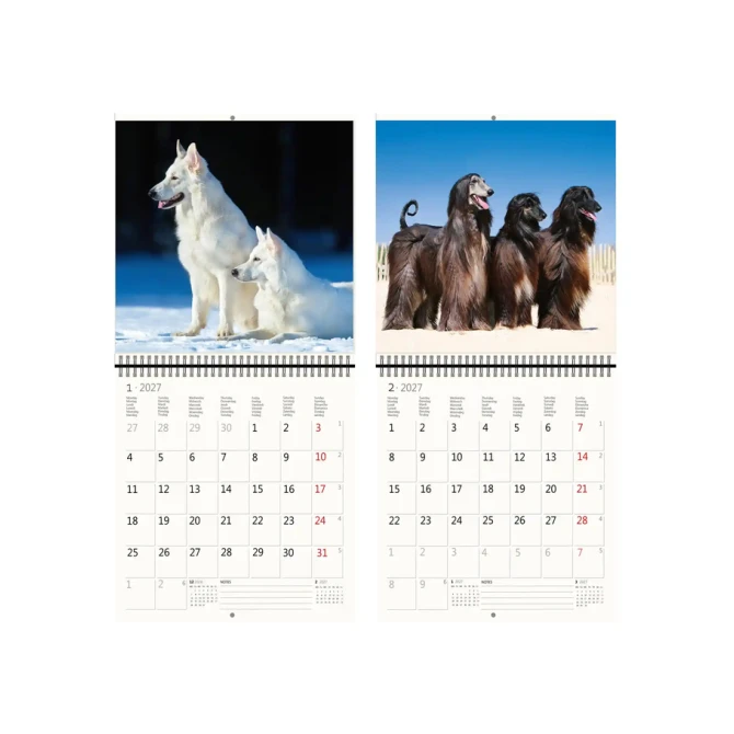 Kalender 2027 Helma 365 30x30cm honden