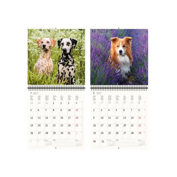 Kalender 2027 Helma 365 30x30cm honden