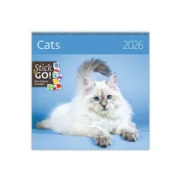 Kalender 2027 Helma 365 30x30cm katten