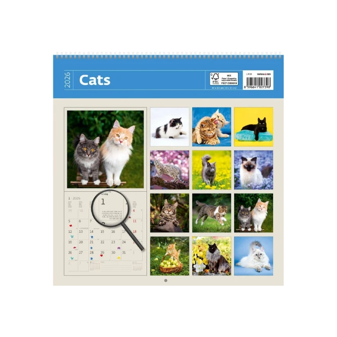 Kalender 2027 Helma 365 30x30cm katten