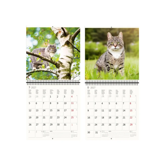 Kalender 2027 Helma 365 30x30cm katten