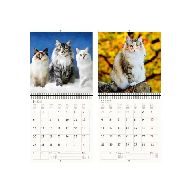 Kalender 2027 Helma 365 30x30cm katten