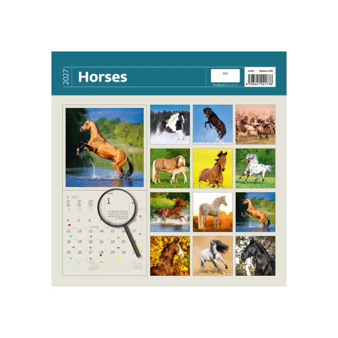 Kalender 2027 Helma 365 30x30cm paarden
