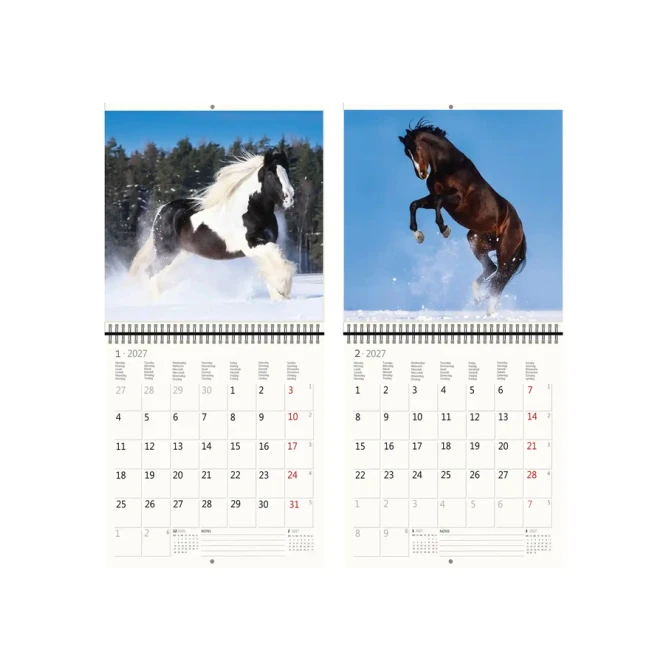 Kalender 2027 Helma 365 30x30cm paarden