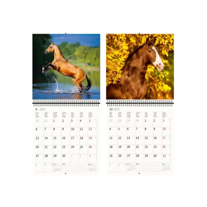 Kalender 2027 Helma 365 30x30cm paarden