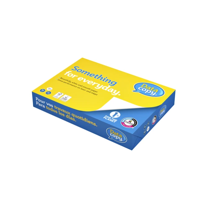 Kopieerpapier Datacopy A4 80gr wit 500 vel