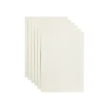 Kopieerpapier Papicolor A4 100gr 12 vel anjerwit Kopieerpapier Papicolor A4 100gr 12 vel anjerwit