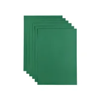 Kopieerpapier Papicolor A4 100gr 12 vel dennengroen
